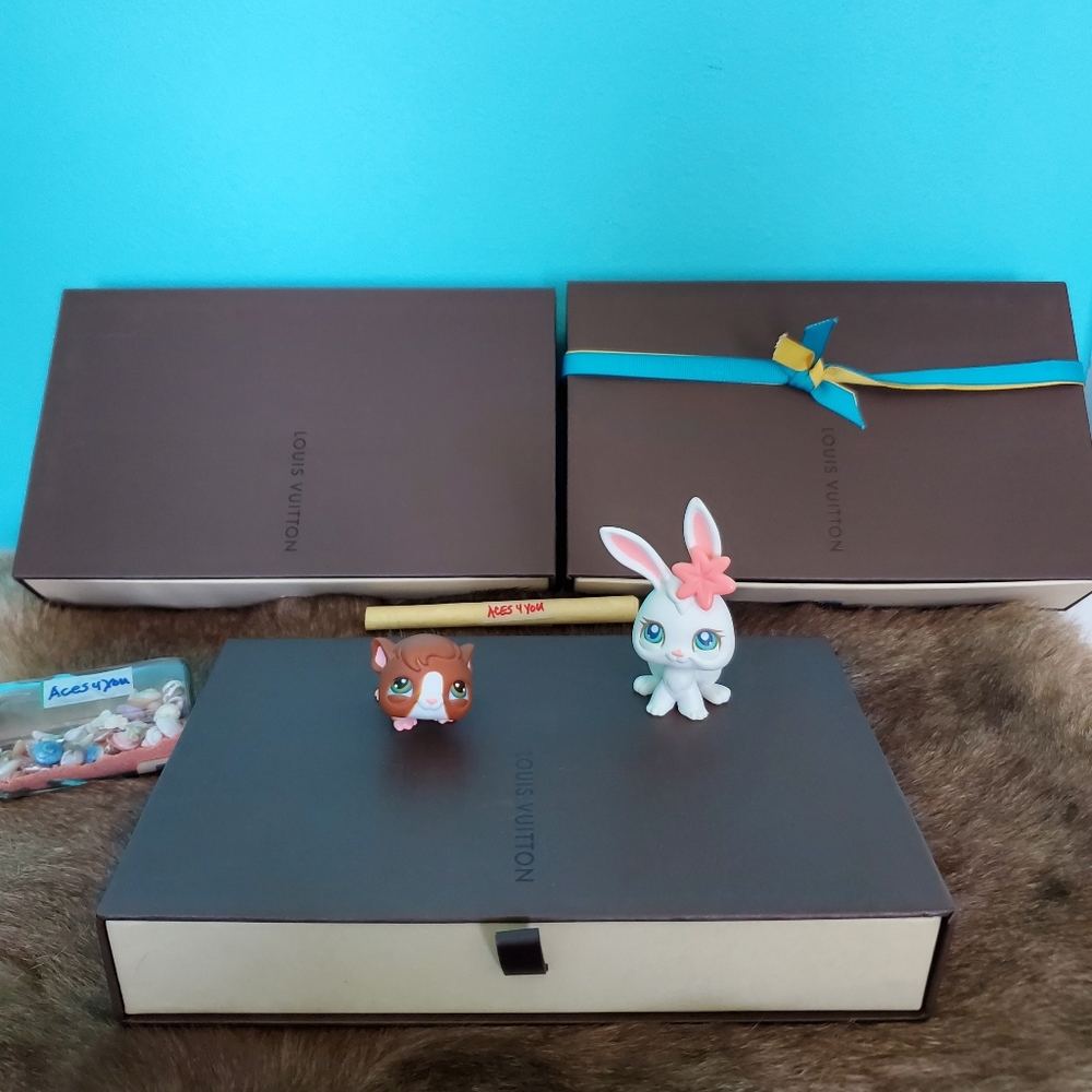 Louis Vuitton empty box.